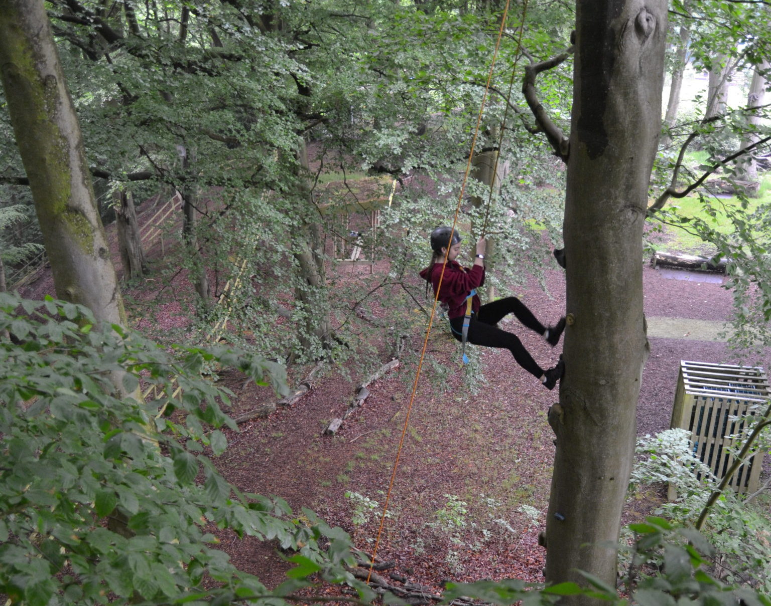 climbing trees descent at Outdoor Elements