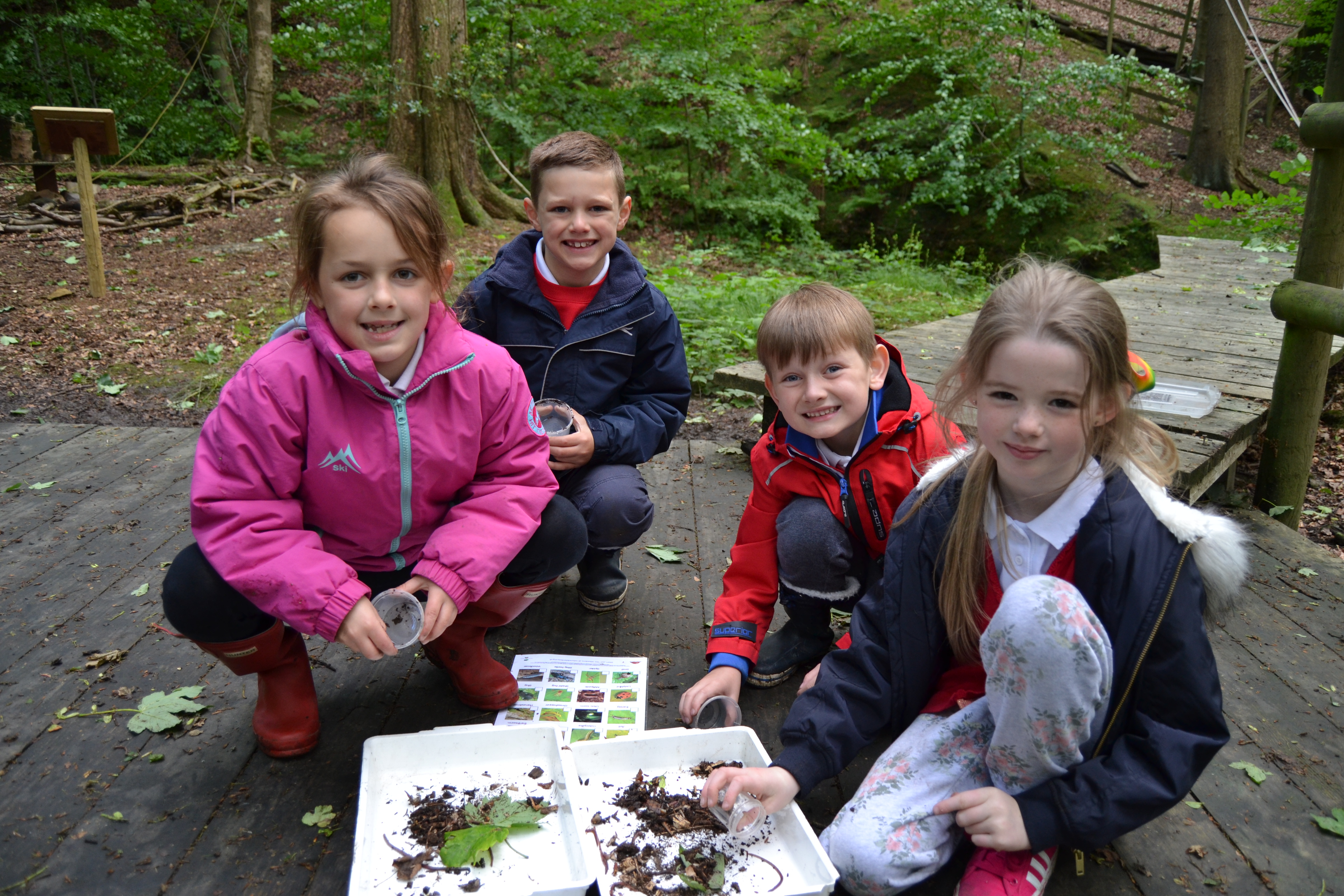 outdoor education bug hunting session Lancashire