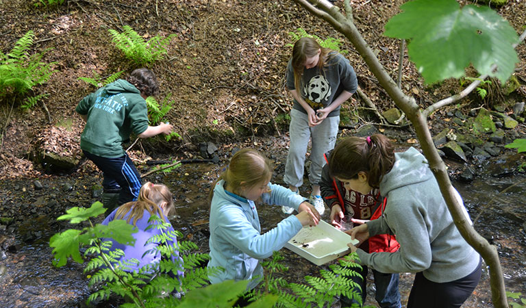 primary outdoor education provision in Lancashire