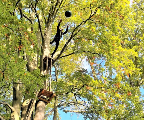 Outdoor Elements Leap of Faith for Team Building in Lancashire
