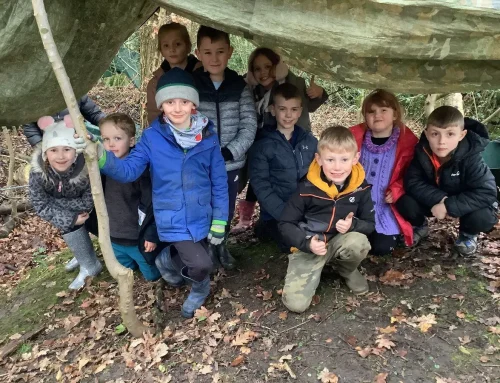 Why EYFS & Primary Schools Choose Outdoor Elements for Their School Trip